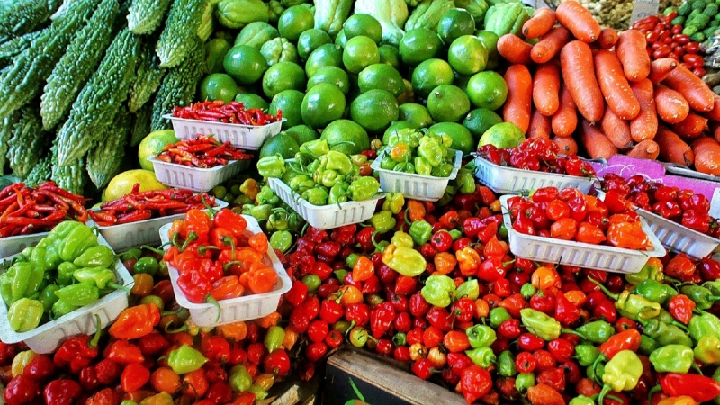 primeur-COLOMARS-min_farmers-market-1329008